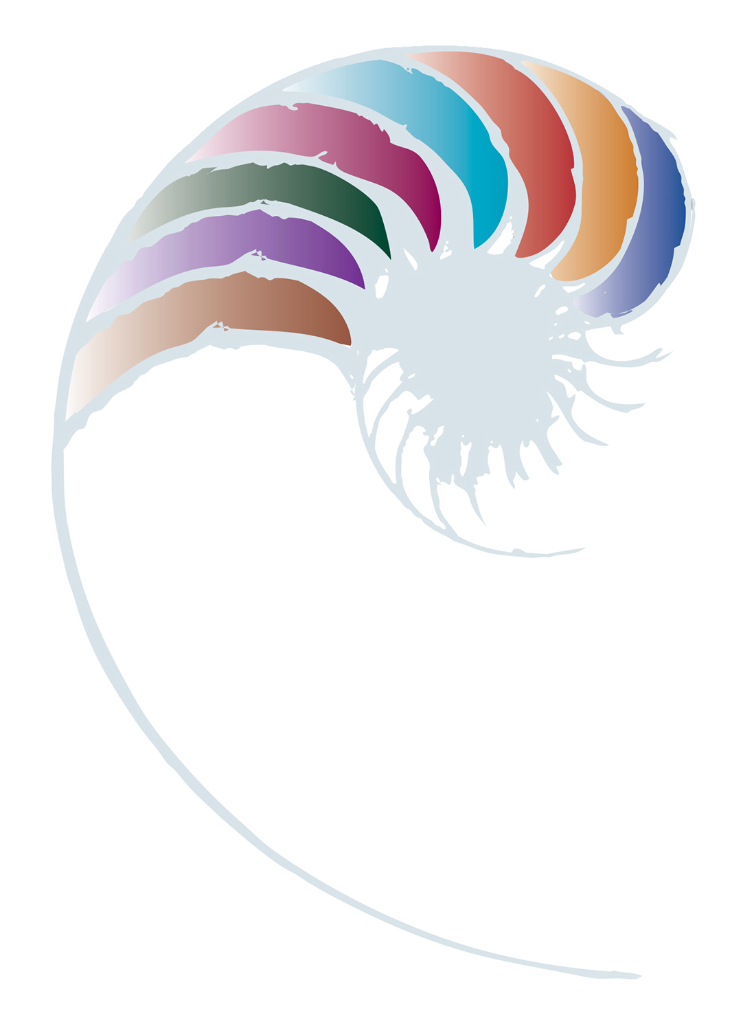 New Zealand Curriculum logo